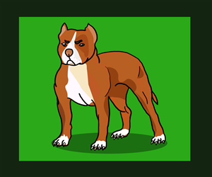 Illustration Design by Teena parhar for this project | Design: #4102164