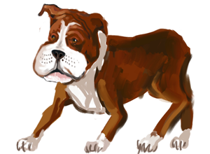 Illustration Design by artistraman for this project | Design #4093597