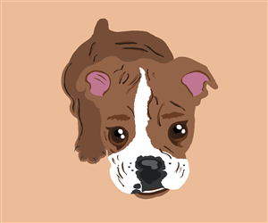 Illustration Design by Raquel Segal for this project | Design: #4101331