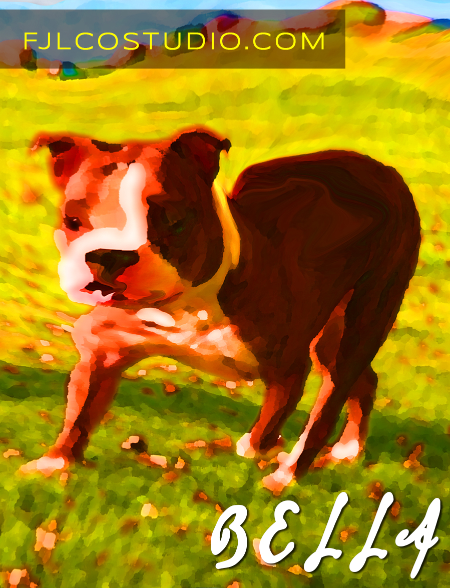 Illustration Design by fernanlagran for this project | Design #4113111