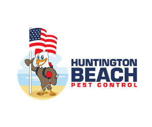 Logo Design by Andylicious