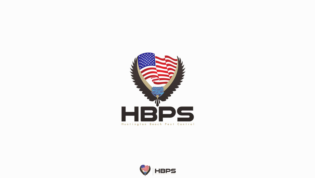 Logo Design by 25 for this project | Design #4079164