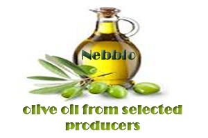 Logo Design by bullini