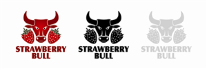 Logo Design by vasile boeriu