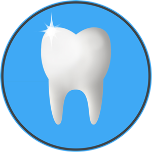 Logo Design by DaniNM for Van Ness Dental Group | Design: #1169752