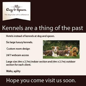 Flyer Design by ShelbyKerberg
