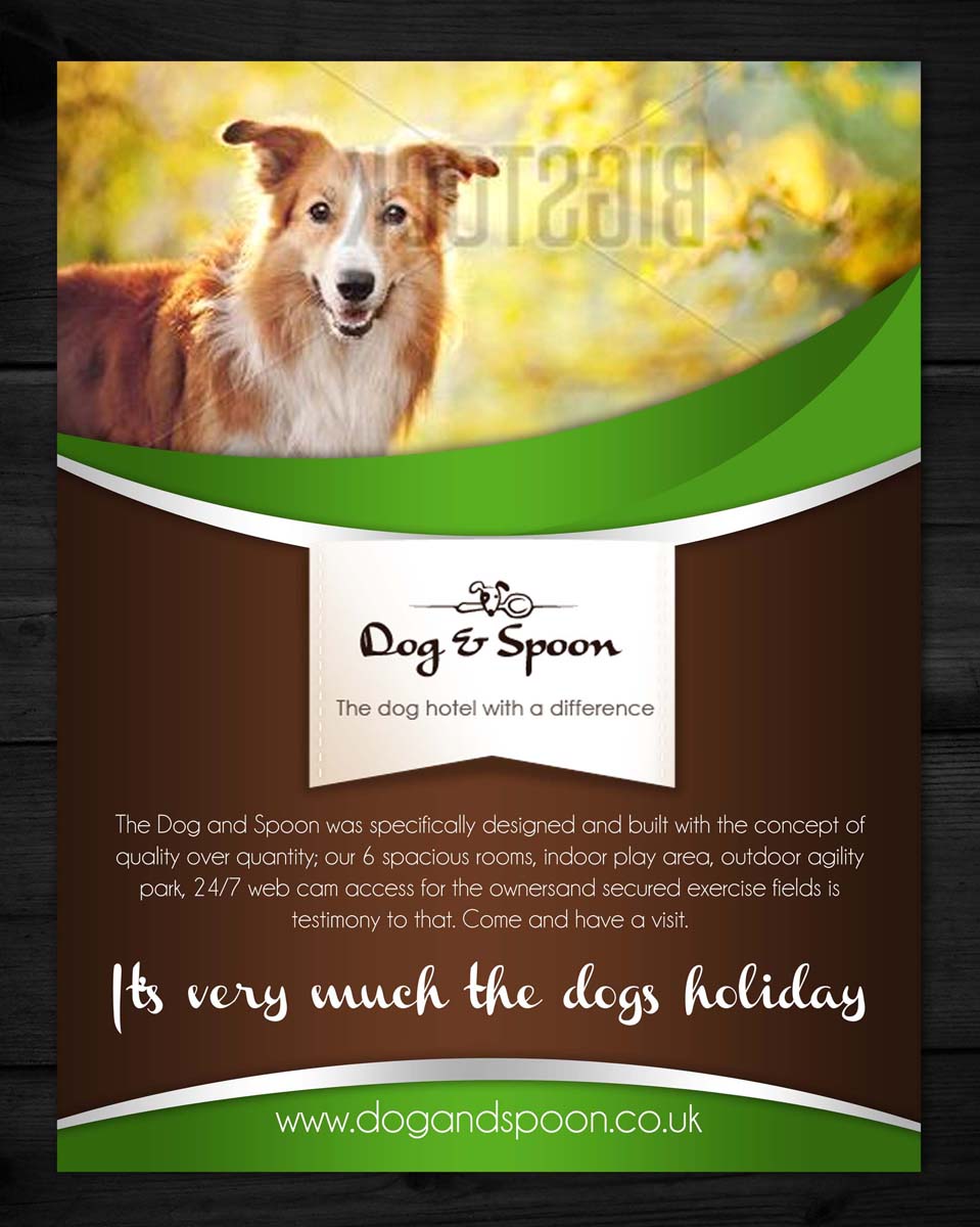 Flyer Design by ESolz Technologies for this project | Design #4133460