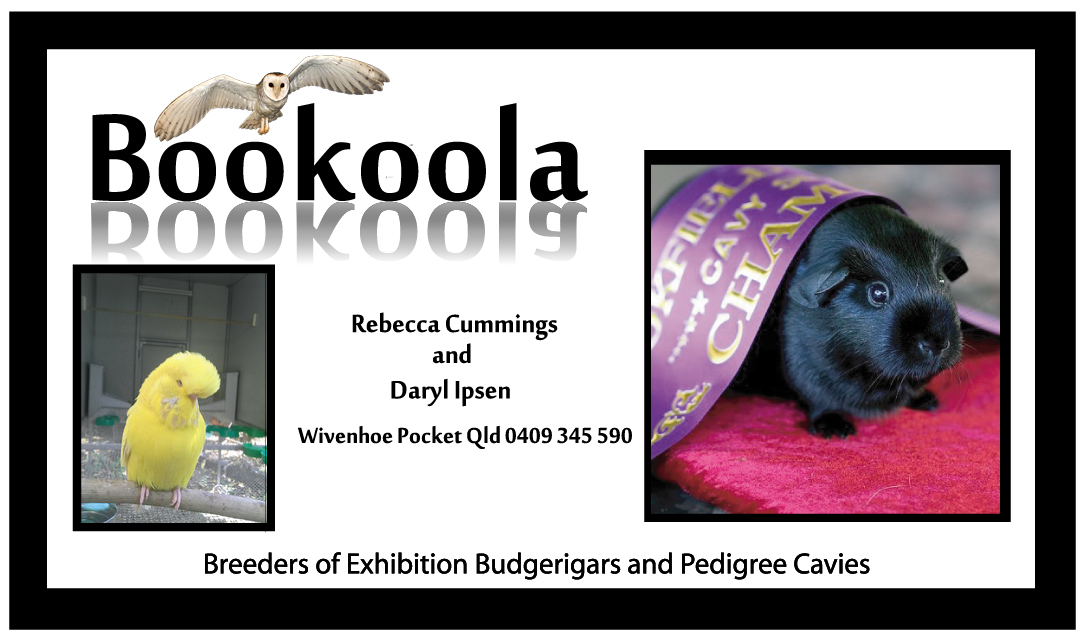 Diseño de Tarjeta de Presentación por eddie ckros para este proyecto | Diseño #1141253