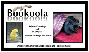 Visitenkarten-Design von eddie ckros für dieses Projekt | Design: #1141253