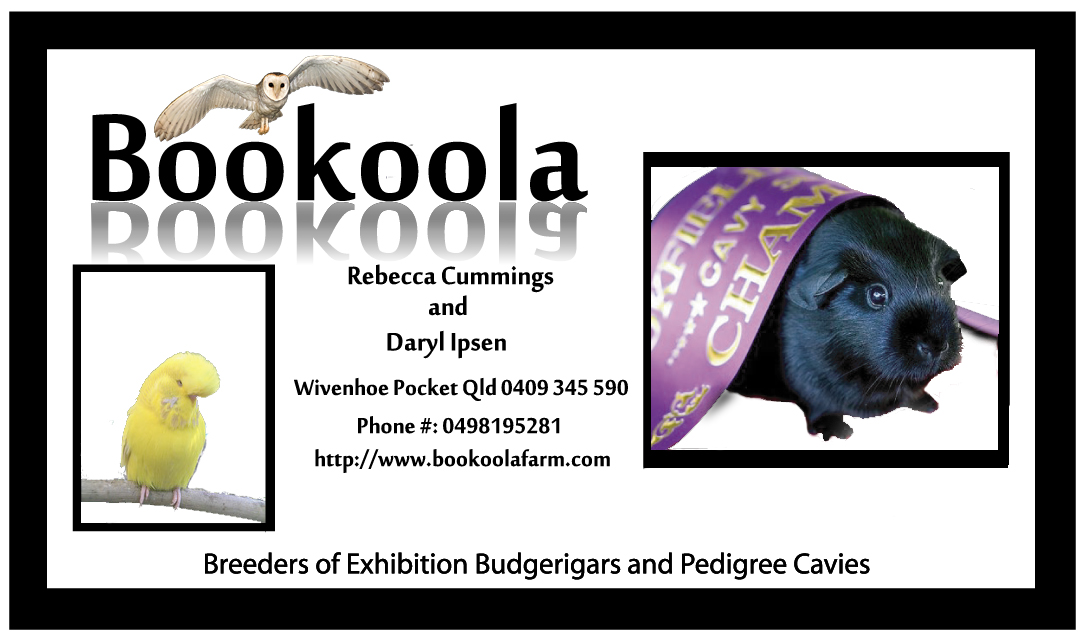 Visitenkarten-Design von eddie ckros für dieses Projekt | Design #1141526