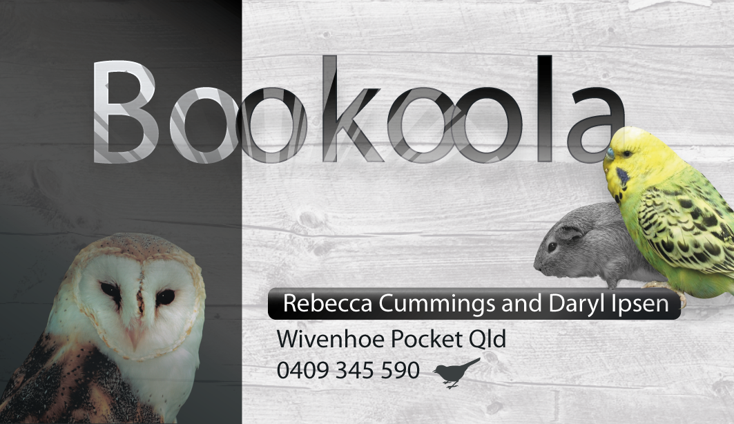 Visitenkarten-Design von phtsantanna für dieses Projekt | Design #1130133