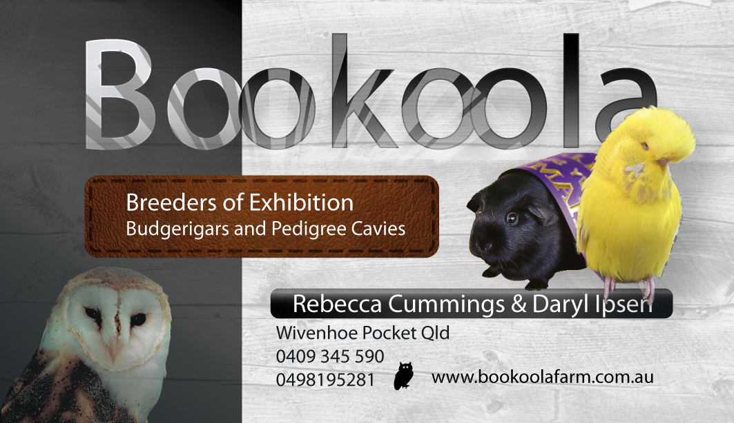 Visitenkarten-Design von phtsantanna für dieses Projekt | Design #1140683