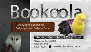 Visitenkarten-Design von phtsantanna für dieses Projekt | Design: #1140683