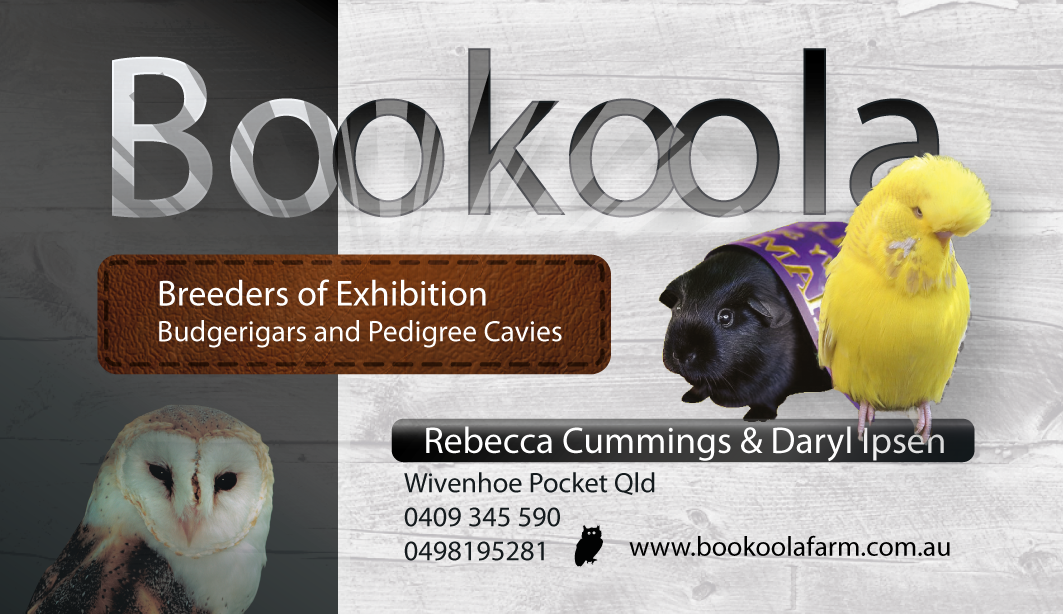 Diseño de Tarjeta de Presentación por phtsantanna para este proyecto | Diseño #1140719