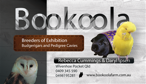 Visitenkarten-Design von phtsantanna für dieses Projekt | Design: #1140719