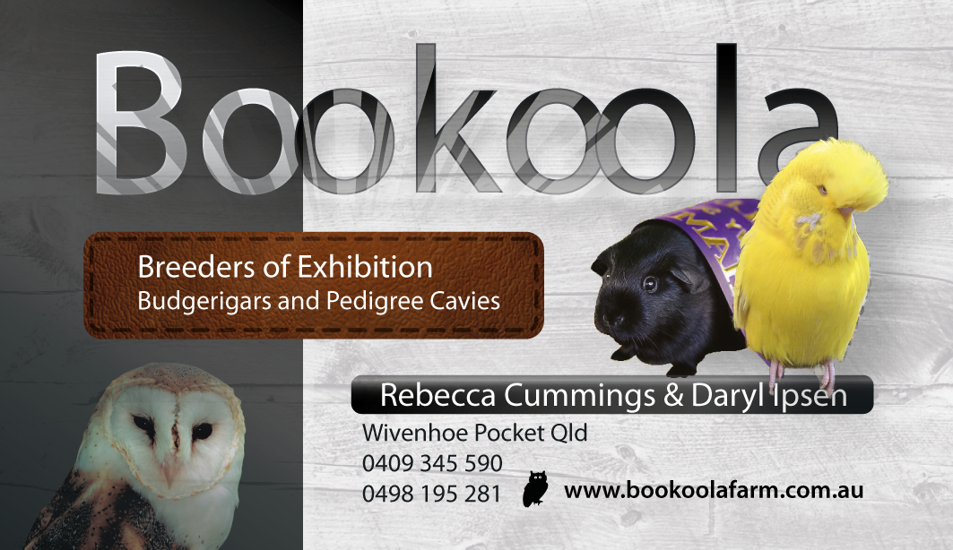 Visitenkarten-Design von phtsantanna für dieses Projekt | Design #1141279