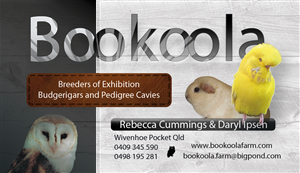Business Card Design by phtsantanna