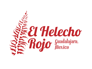Logo Design by MSilva