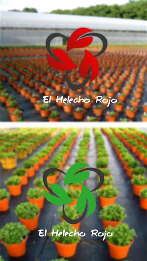 Logo Design by timographics for this project | Design: #4174489