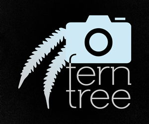 Logo Design by EIP Graphics