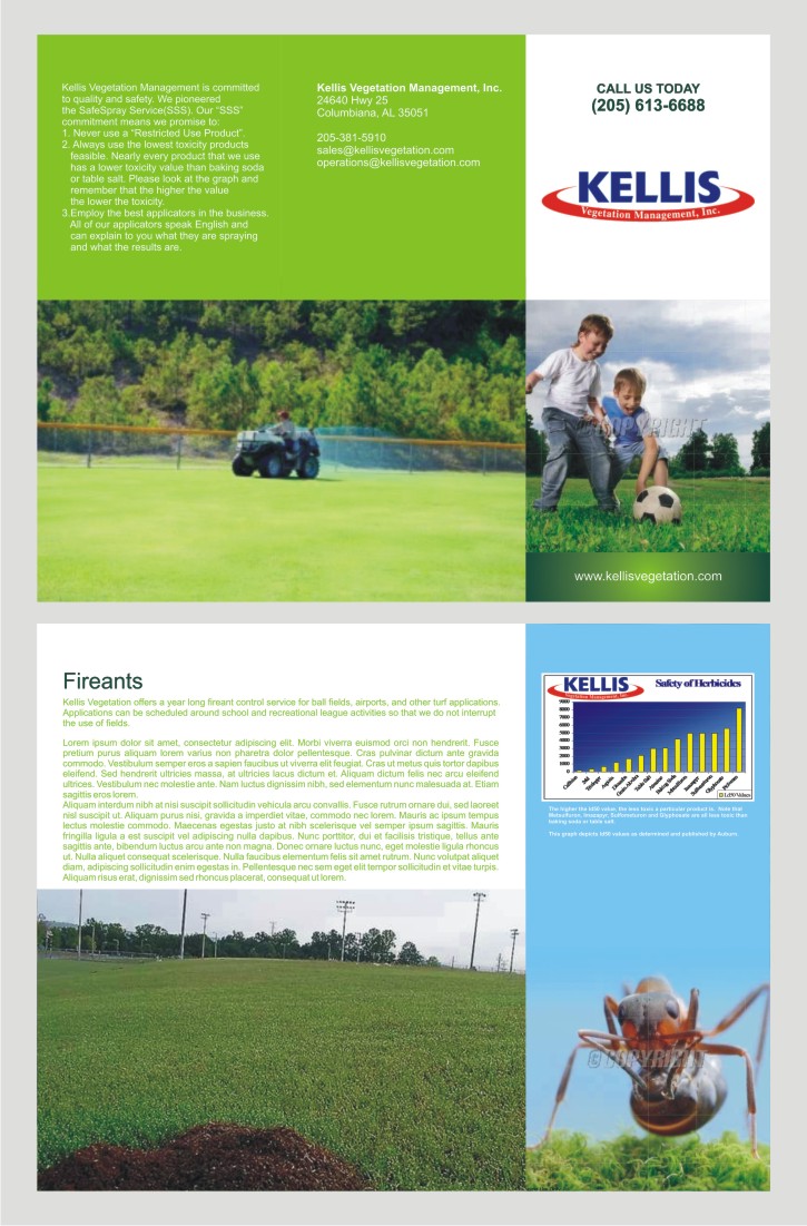 Brochure Design by barinix for this project | Design #1134886