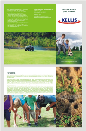 Diseño de Brochure por barinix
