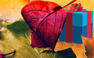 Banner Ad Design by sssujeeva