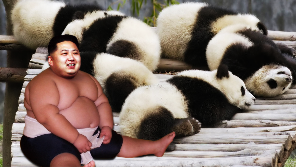 Photoshop Design by dfbdndn for this project | Design #4154105