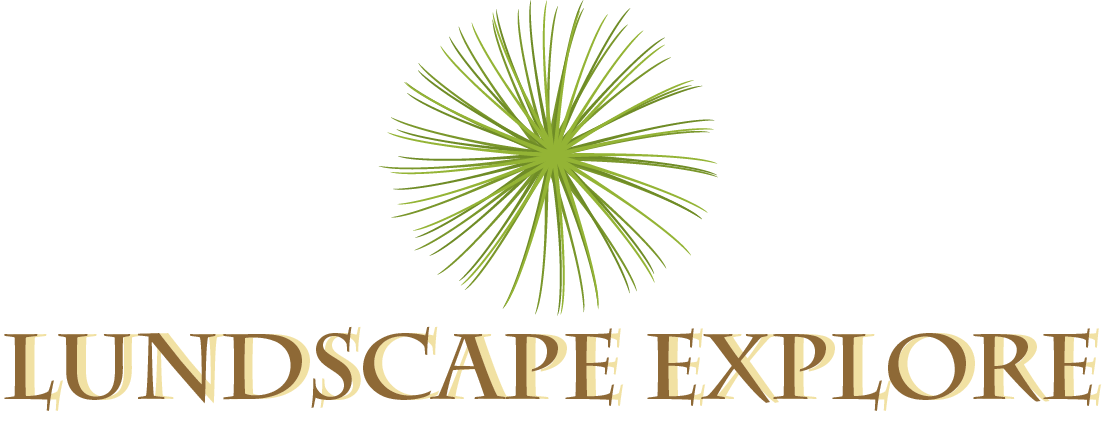 Diseño de Logo por 45DWorks para este proyecto | Diseño #1142331