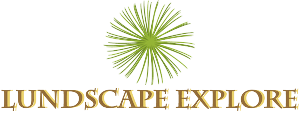 Logo Design by 45DWorks