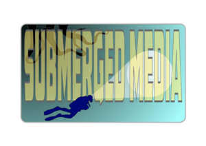 Logo Design by creative solutions