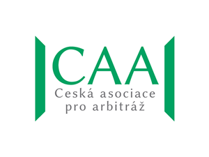 Logo Design by Skroll
