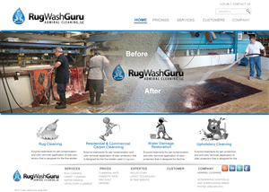 Web Design by MSA
