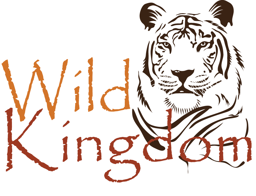 Logo Design by carlacardosodesign for this project | Design #4093954