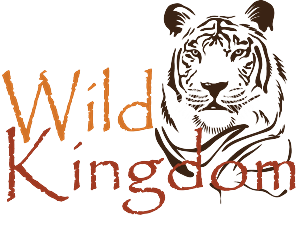 Logo Design by carlacardosodesign