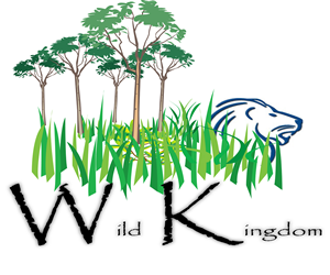 Logo Design by George McCoy