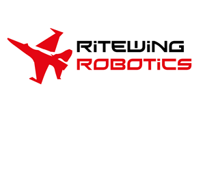 Logo Design by endriupix
