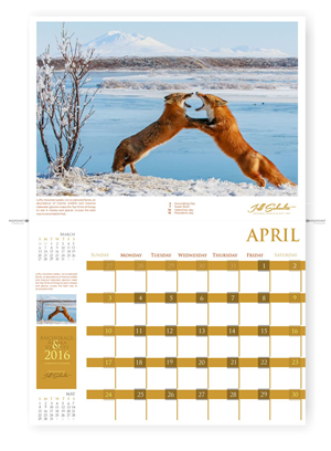 Graphic Design by DesignMX (Renan Mejia) for Jeff Schultz photography | Design: #4176393