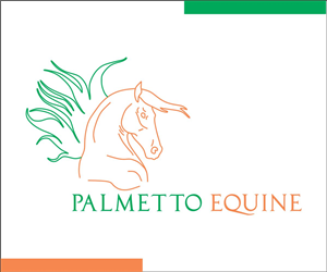 Logo Design by bhavya designer for this project | Design: #4097858