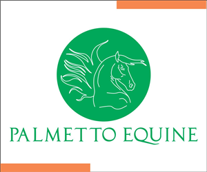 Logo Design by bhavya designer for this project | Design: #4097863