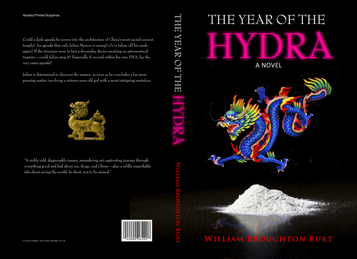 Book Cover Design by illuminati-design for this project | Design #4145015