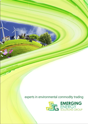 Brochure Design by hema dhawan for this project | Design: #4101178