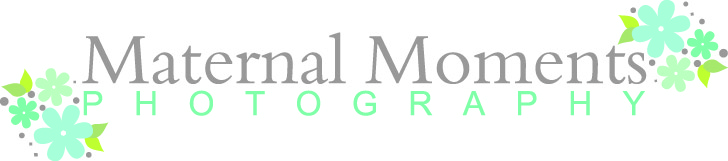 Diseño de Logo por Design Possibilities para este proyecto | Diseño #159970