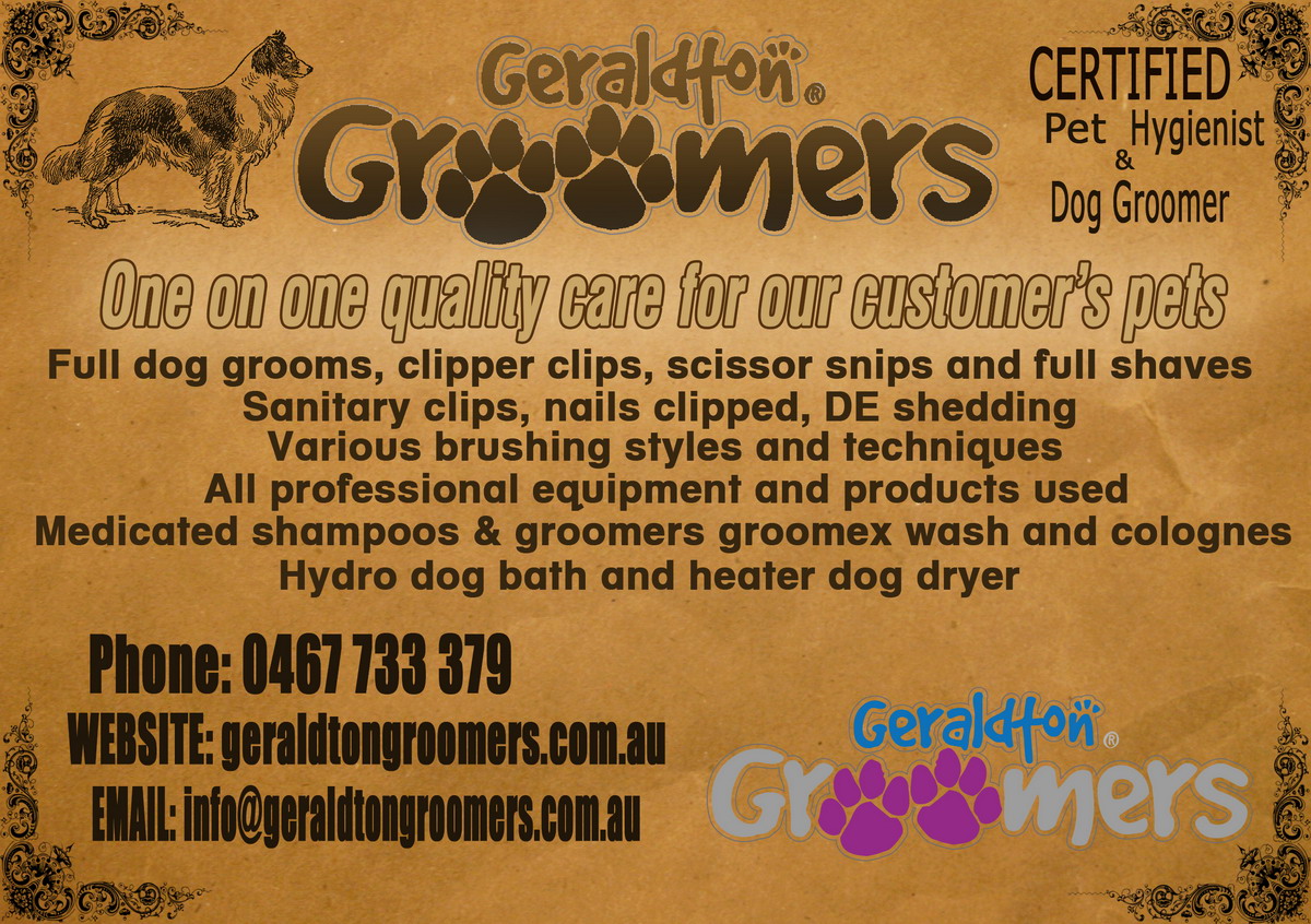 Flyer Design by strela1 for this project | Design #1156315