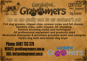 Flyer Design by strela1 for this project | Design: #1156315