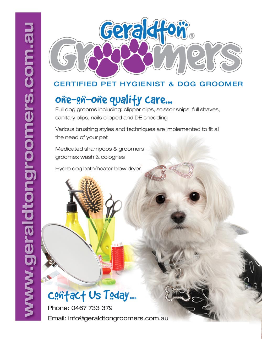 Flyer Design by ZinTech for this project | Design #1156744