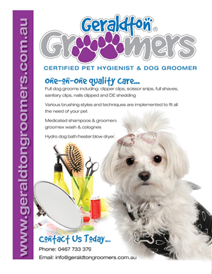 Flyer Design Project | Flyer Design by ZinTech