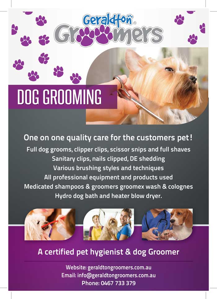 Flyer Design by JessicaD for this project | Design #1146079
