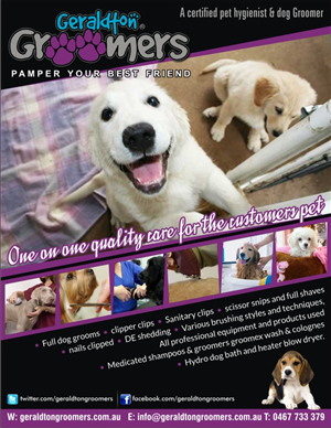 Flyer Design by Influential Guyz for this project | Design: #1137459