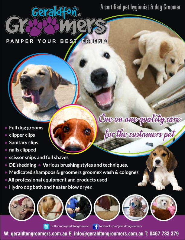 Flyer Design by Influential Guyz for this project | Design #1137461